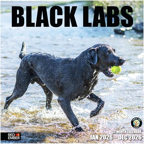 Image of RED EMBER Black Labs 2026 Wall Calendar 12 Month | 12 inch x 24 inch Open | Thick & Sturdy Paper | Giftable| Cute Labrador Retriever Puppy Dog Calendar 2026
