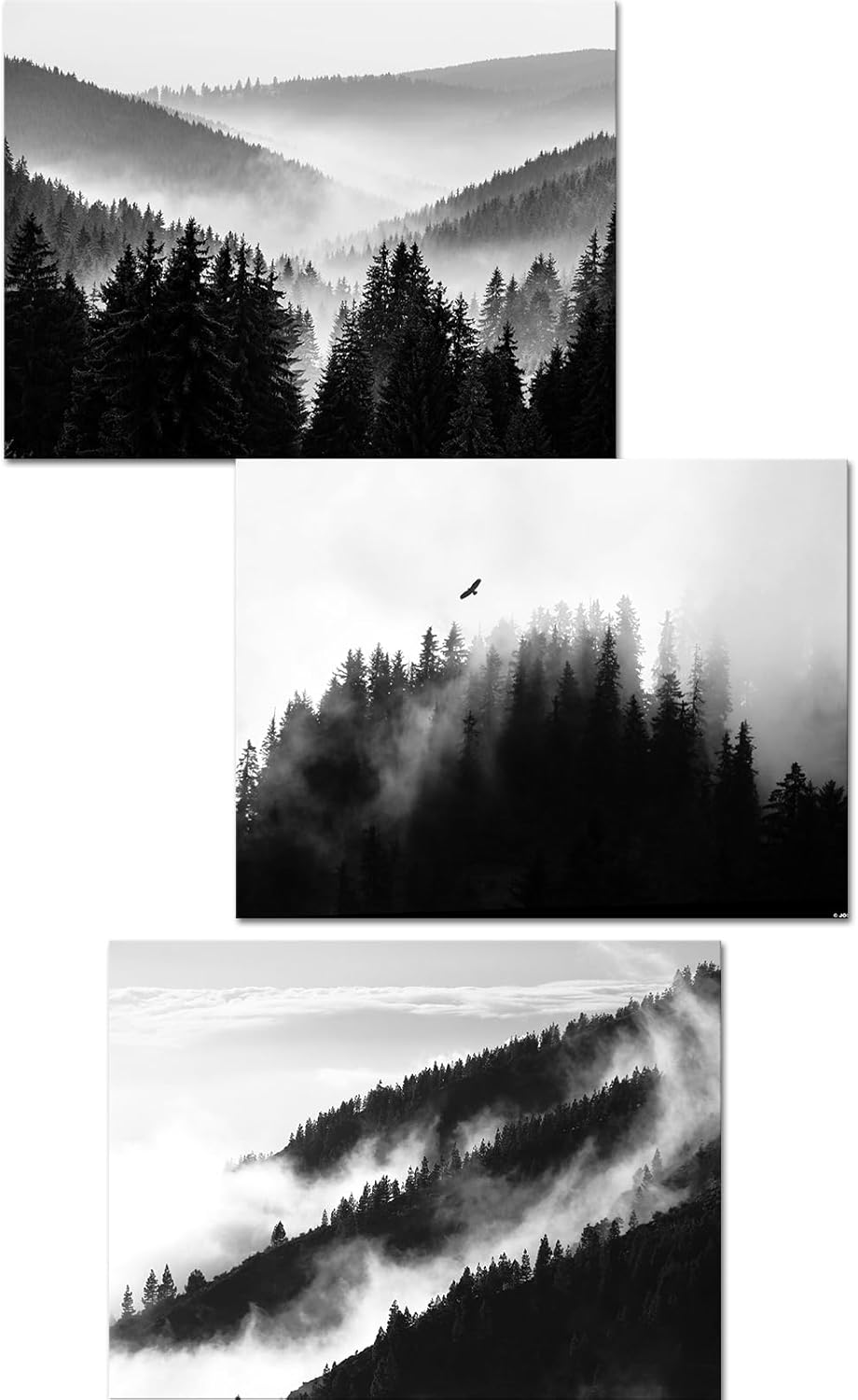 YeiLnm Black and White Forest Picture Foggy Mountain Wall Art Living Room Wall Decor 12x16 inches