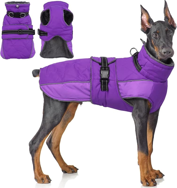 QBLEEV campera cálida para perro, abrigo impermeable de invierno para perro con arnés