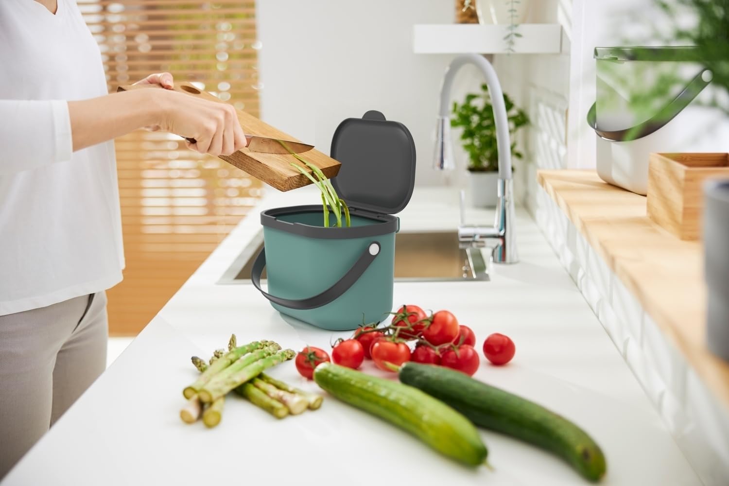Rotho Albula - Pattumiera biologica con coperchio, 3,2 l, per cucina