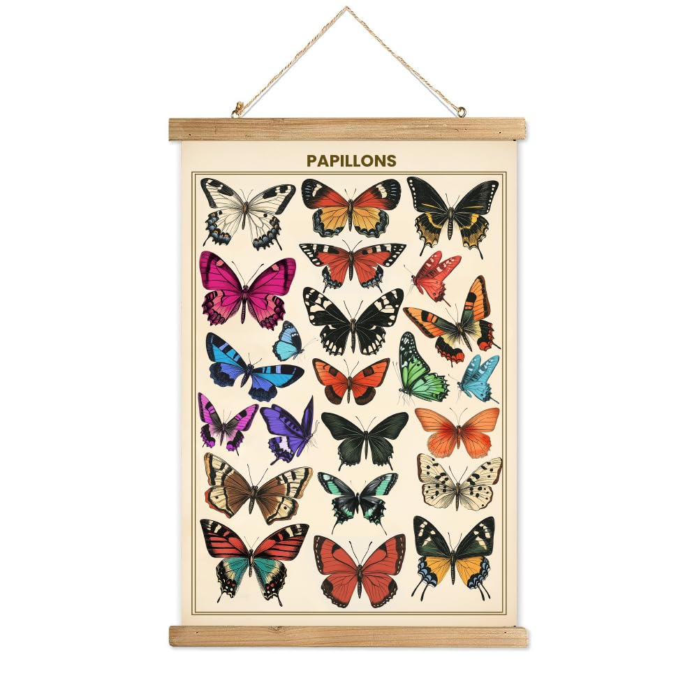 WEBEEDY 40x58 cm Butterflies Scroll Poster Hanger Classic Animals Poster with Wooden Scroll Frame Colourful Butterfly Patterns Poster Wall Hanging Decor Vintage Art Scroll Poster for Home Decor