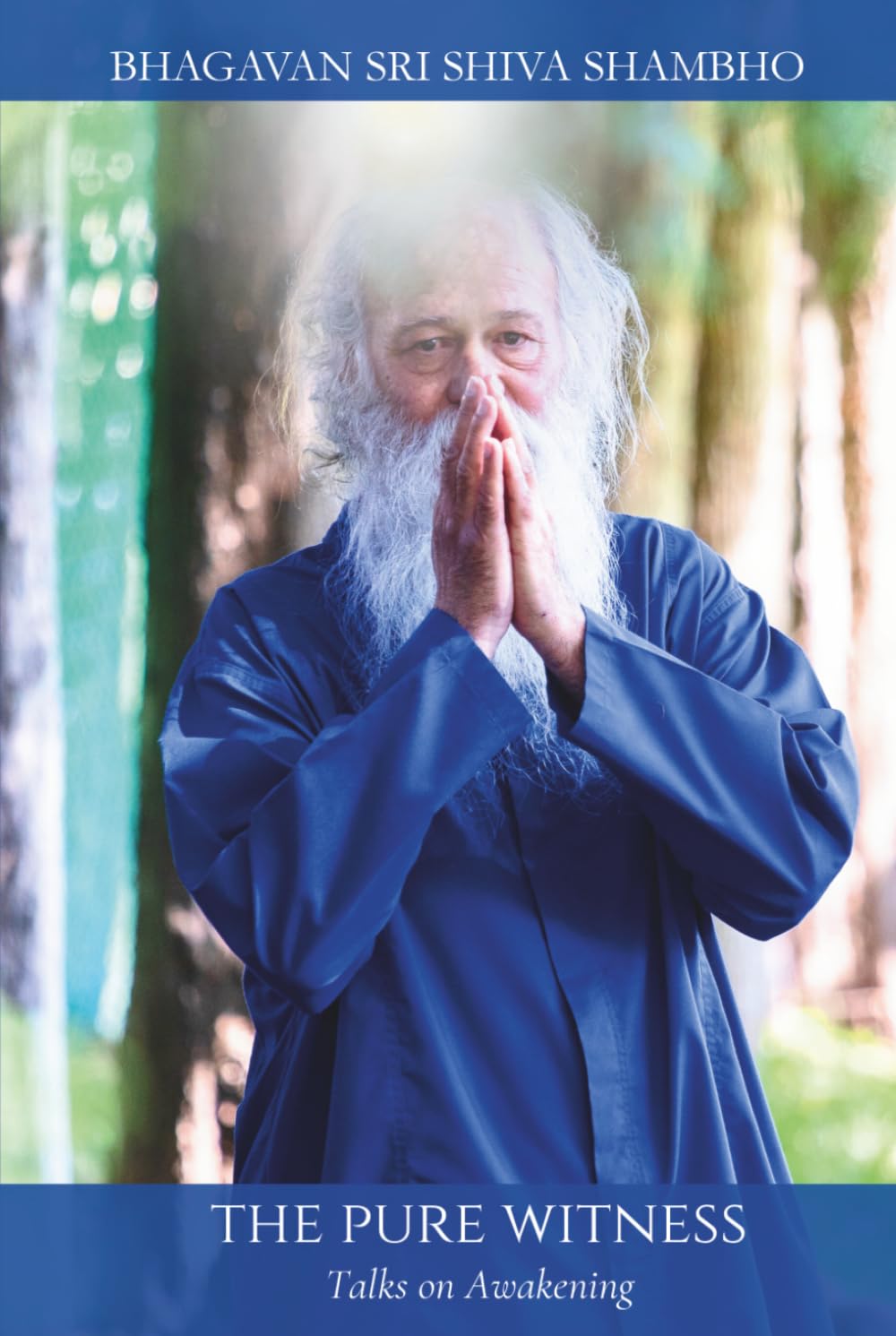 The Pure Witness: Talks on Awakening (THE AWAKENING COLLECTION)
