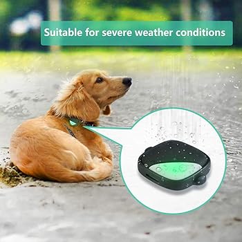 Explore Gps Dog Trackers For Iphone 