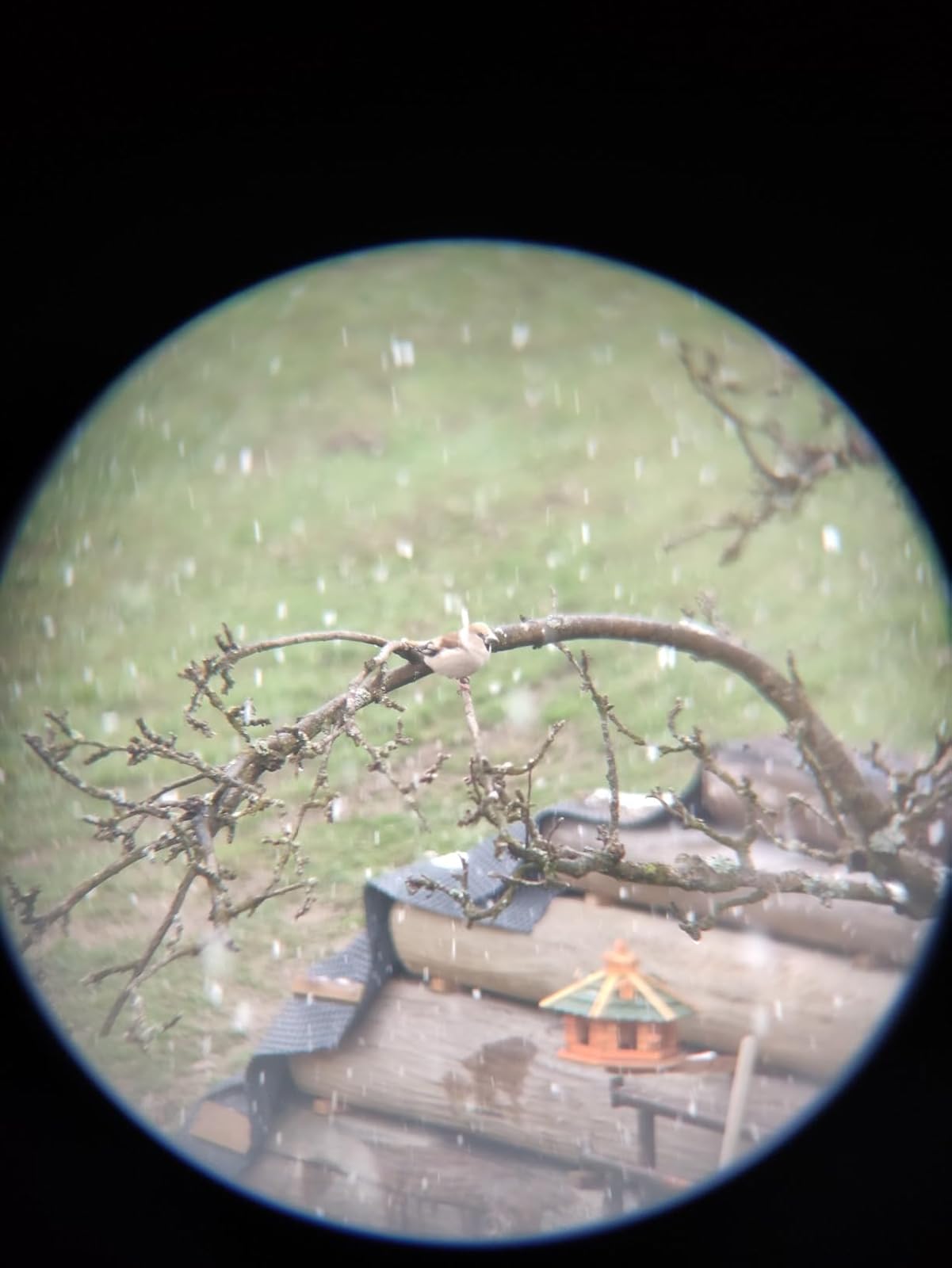 Allt var toppen - gärna igen!