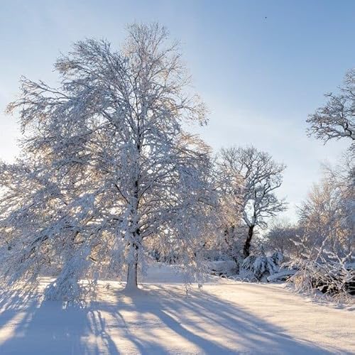 Page de couverture de Garden Books We&rsquo;re Obsessed With This Year