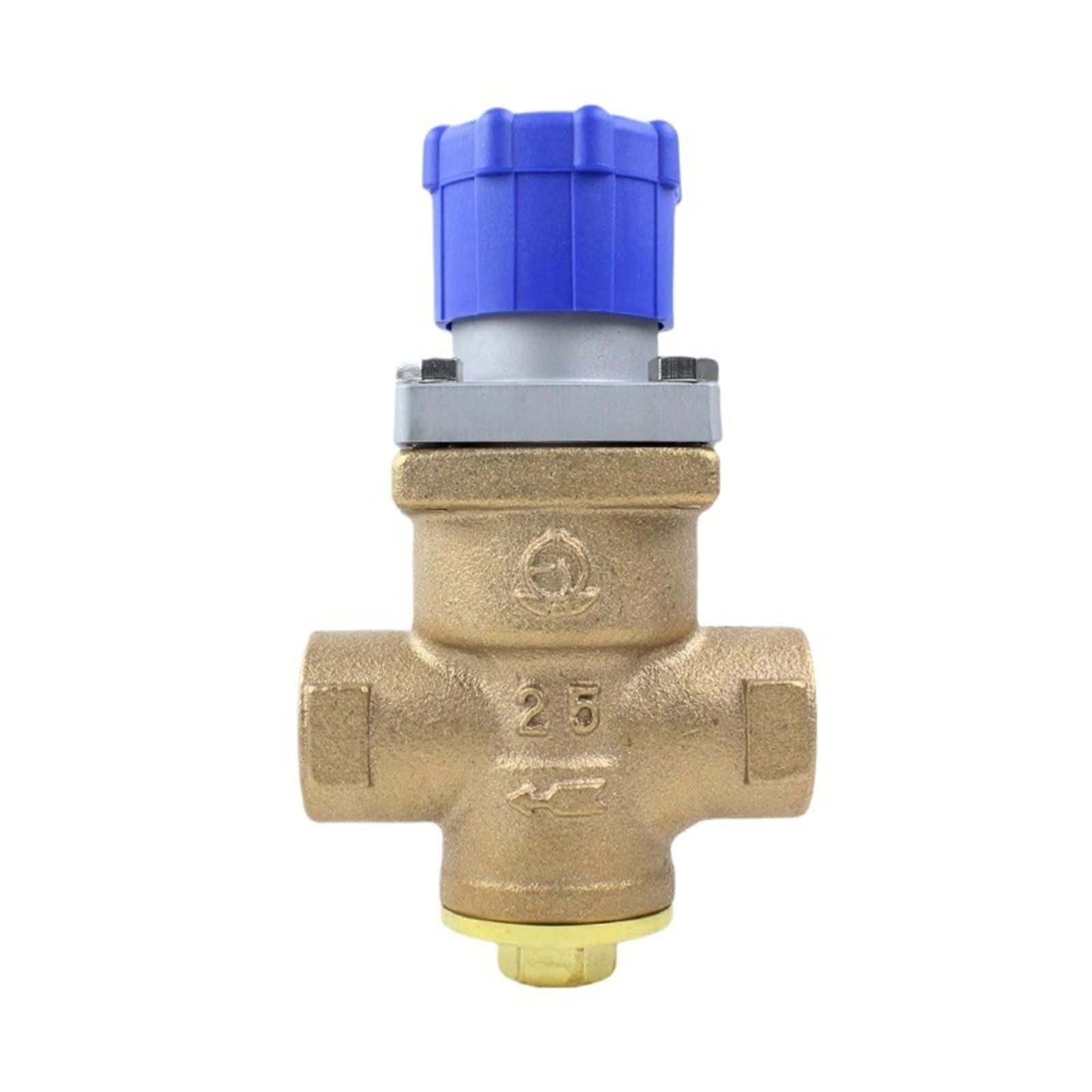 Trgyjgkf One Color Type Pressure Reducing Valve For Steam Model For High-Grade Steam Lines Rd-40(Dn15)