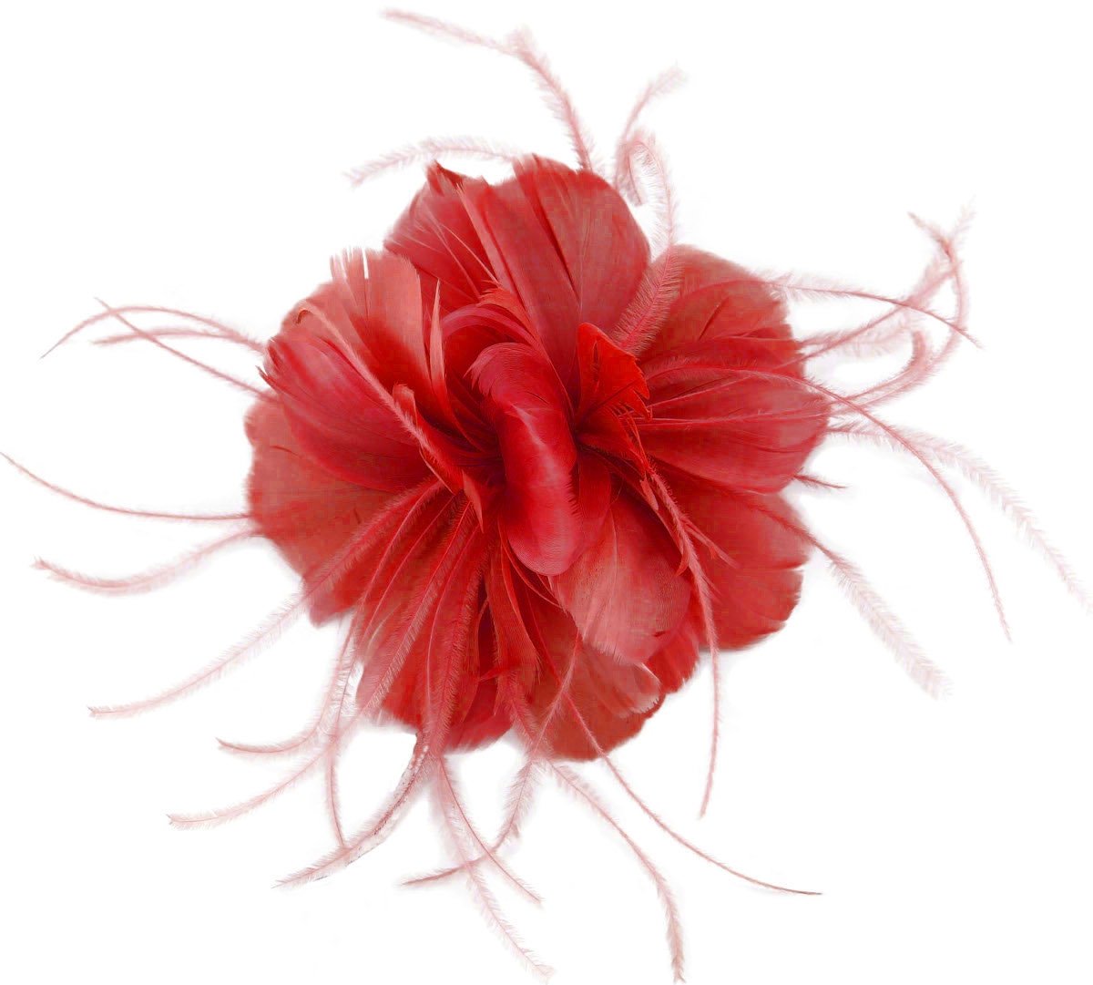 Failsworth Millinery Feather Fascinator in Tabasco, size: One Size