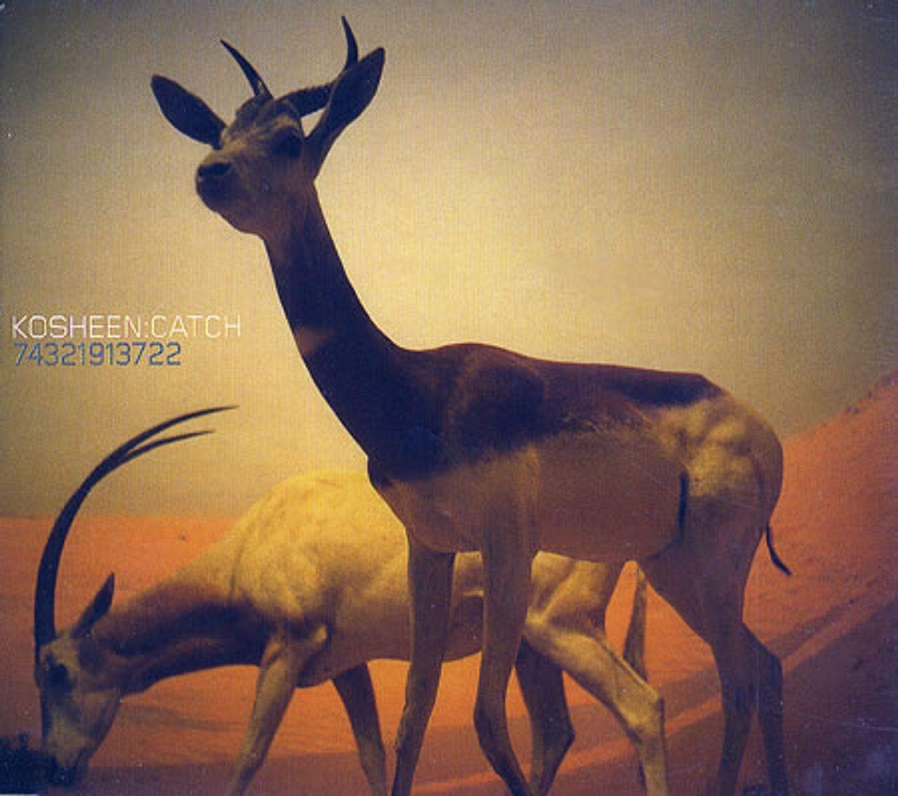 Catch Amazon.de MusikCDs & Vinyl