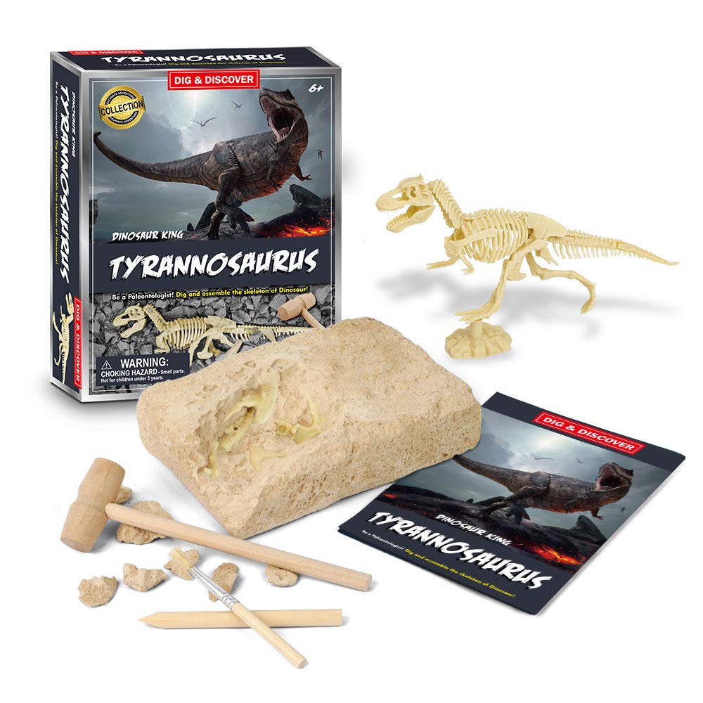 Buy Ewendy Dinosaur Fossil Digging Game Kit,Paleontologist Digging Kit