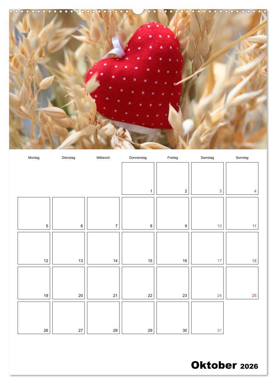Ein herzliches Jahr (hochwertiger Premium Wandkalender 2026 DIN A2 hoch), Kunstdruck in Hochglanz: Ein Kalender-Schmuckstück für die ganze Familie (CALVENDO Lifestyle)