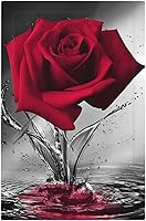 Vista 41 de Deep Blue Sea Turtles 1 Gang Outlet Covers Duplex Receptáculo Placa de pared Decorativa Eléctrica Placa Delantera Interruptores de Luz para Cocina