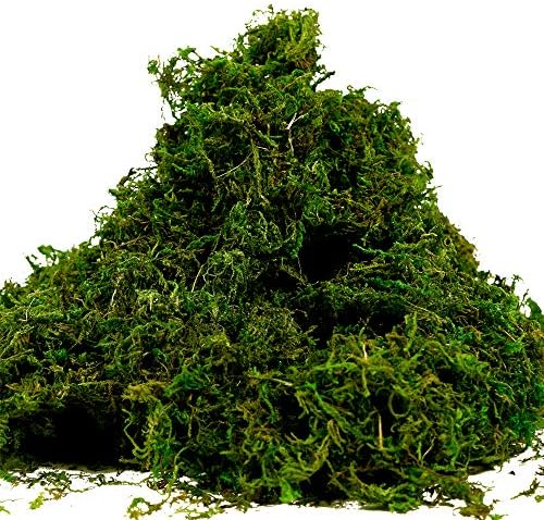 Farmoo Fake Moss for Crafts, Artificial Green Moss for Potted Plants Centerpieces Decor (3.5OZ)
