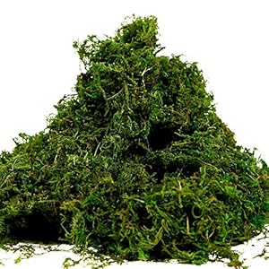 Farmoo Fake Moss for Crafts, Artificial Green Moss for Potted Plants Centerpieces Decor (3.5OZ)
