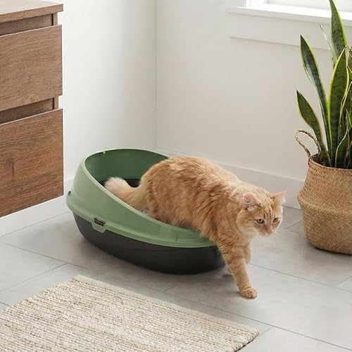 Urbnliving Large Jumbo Oval Cat Litter Tray With High Sides | Deep Rim Open Cat Toilet Box | Anti-Spill Design - Green - 3