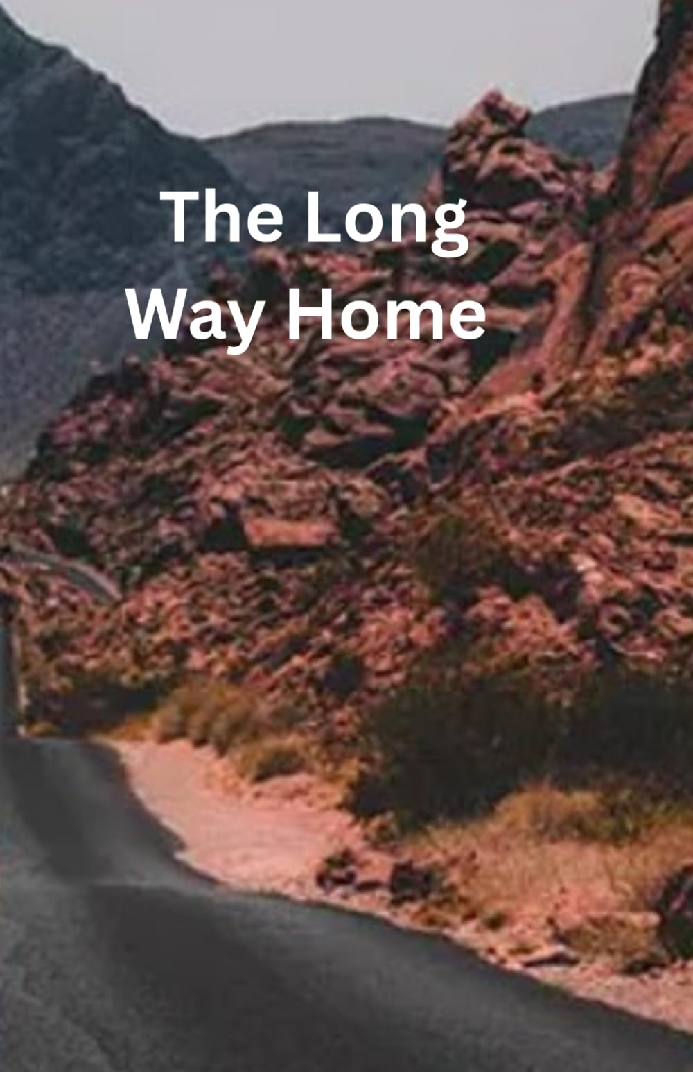 The Long Way Home: A Waterly Cove Romance book three (The Waterly Cove Romance Series)