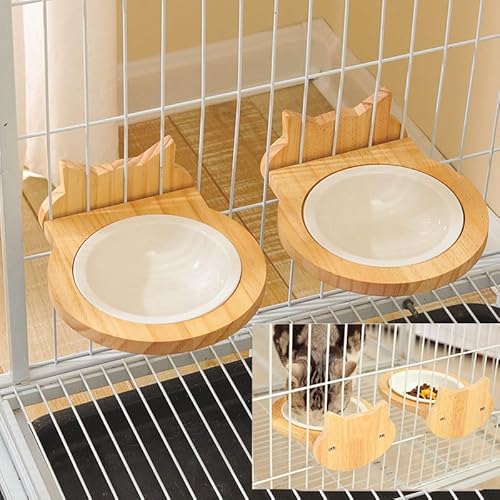 Thujopsis L a {E  a a aM H  P[WɌŒo QZbg ȃXy[X ybgt[h M ^ 