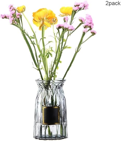 Amazon Co Jp 花瓶ガラス花瓶シンプルな花瓶小さな花瓶クリスタルフラワー花瓶テーブル花瓶クラフト花瓶ガラス花瓶花瓶植物花瓶用リビングルームキッチンテーブルオフィス Color A ホーム キッチン