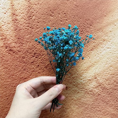 6 piezas Ramo Mini Gypsophila preservada azul miniatura 2