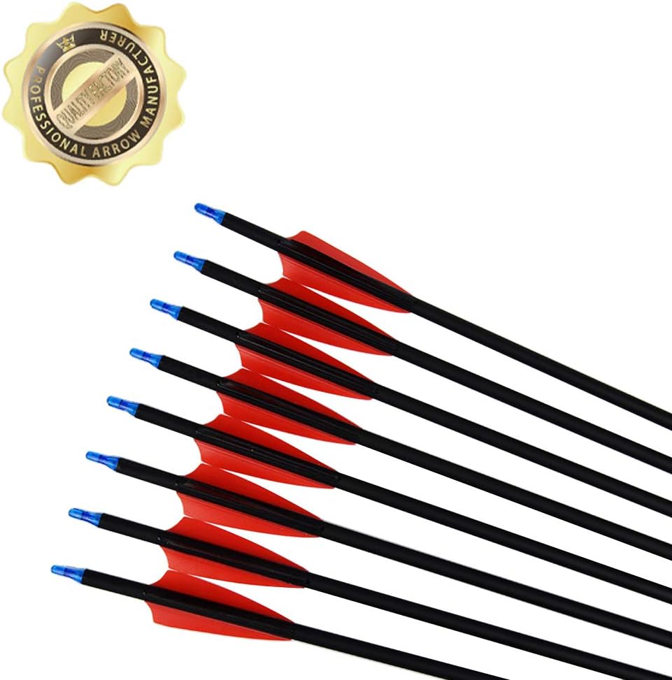 UMULIN Archery Hunting Arrows 30 Inch Carbon Target Arrows for Shooting with Recurve Compound Bows (Pack of 12) : Sports & Outdoors