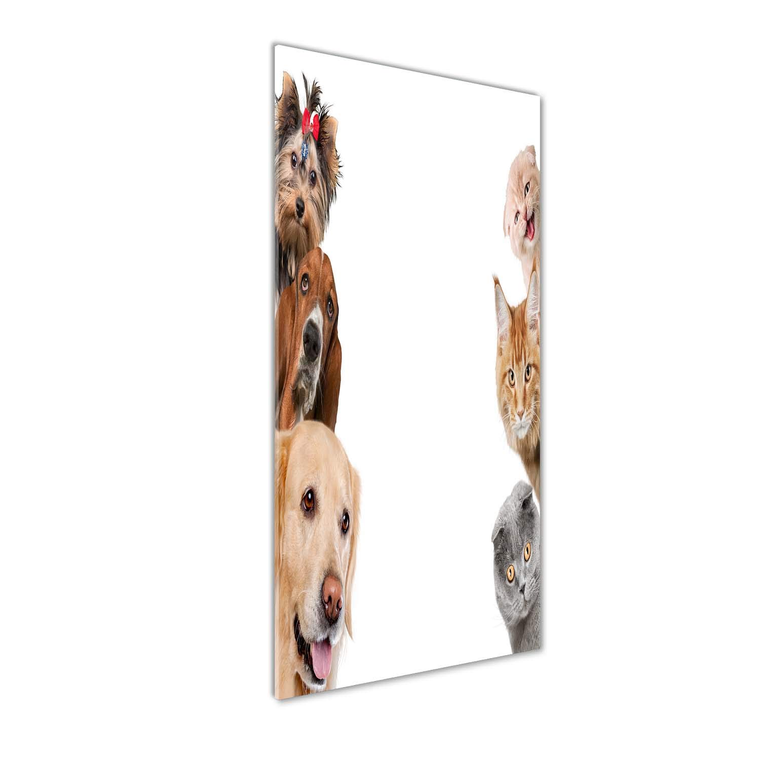 Déco murale animaux pour salon avec l'image sur verre acrylique Tulup