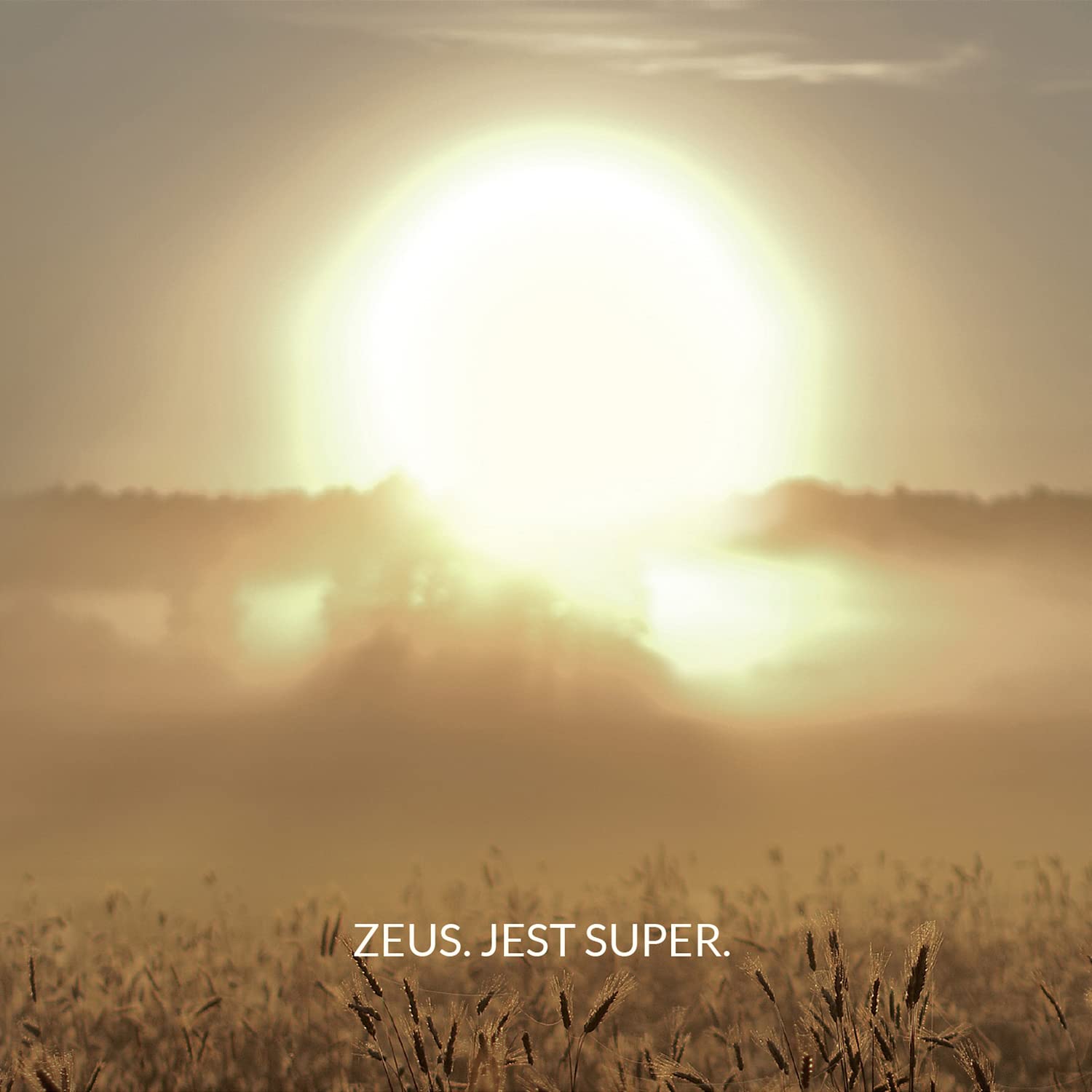 ZEUS