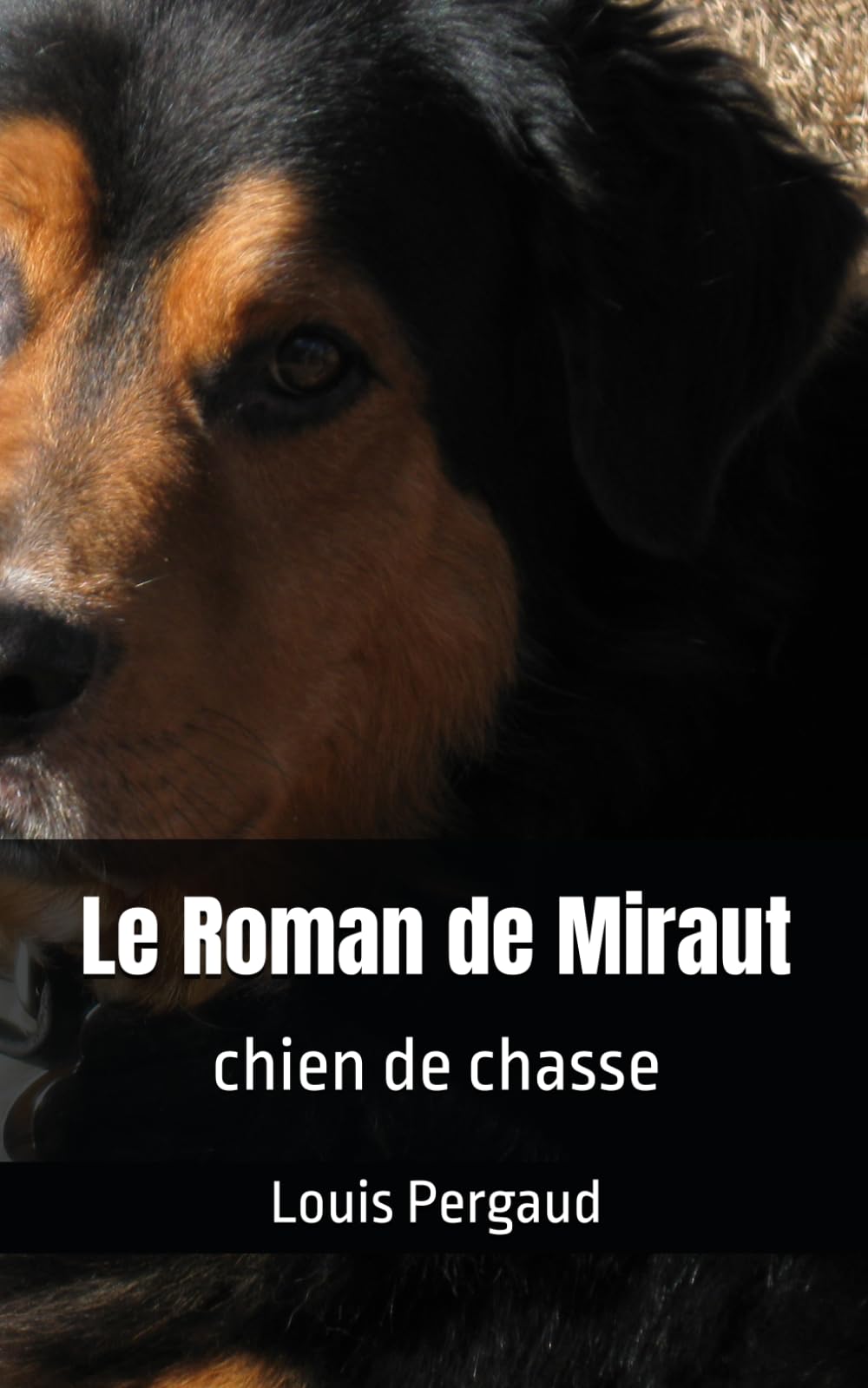 Le Roman de Miraut: chien de chasse