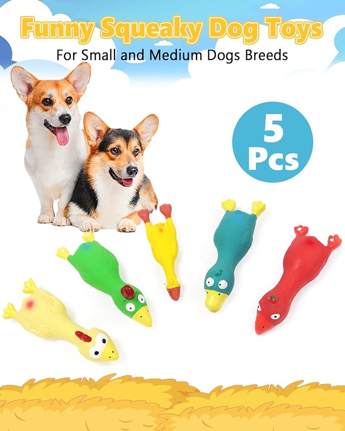 Juguetes Chirriantes para Perro Pollo de Goma Natural 5 Piezas miniatura 2