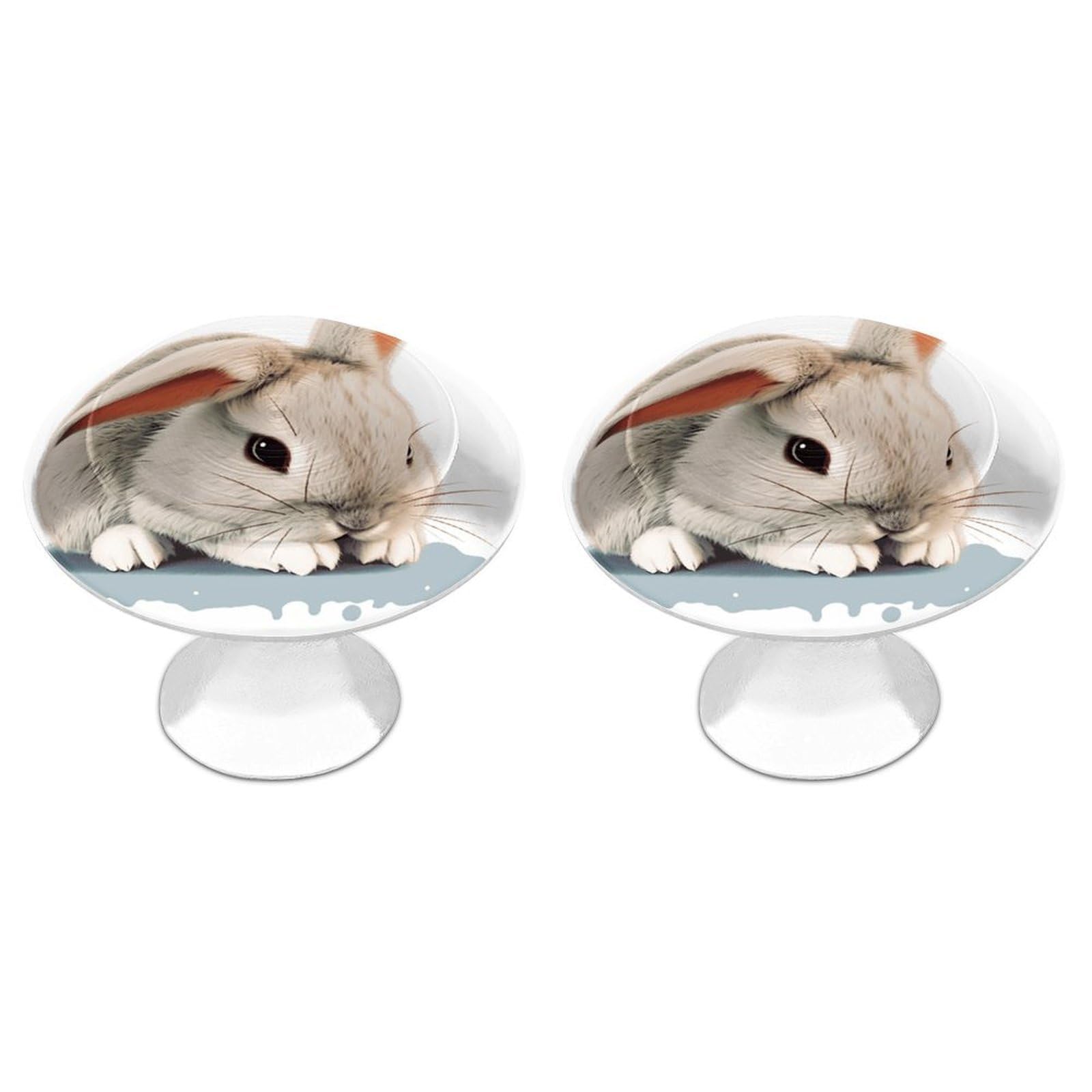 FekiLoot Cry Rabbit Cabinet Knob Kitchen Drawer Knob Stainless Steel Round Drawer Pulls Modern Cabinet Hardware Vintage Dresser Drawer for Kitchen Bathroom Closet Dresser Cabinets