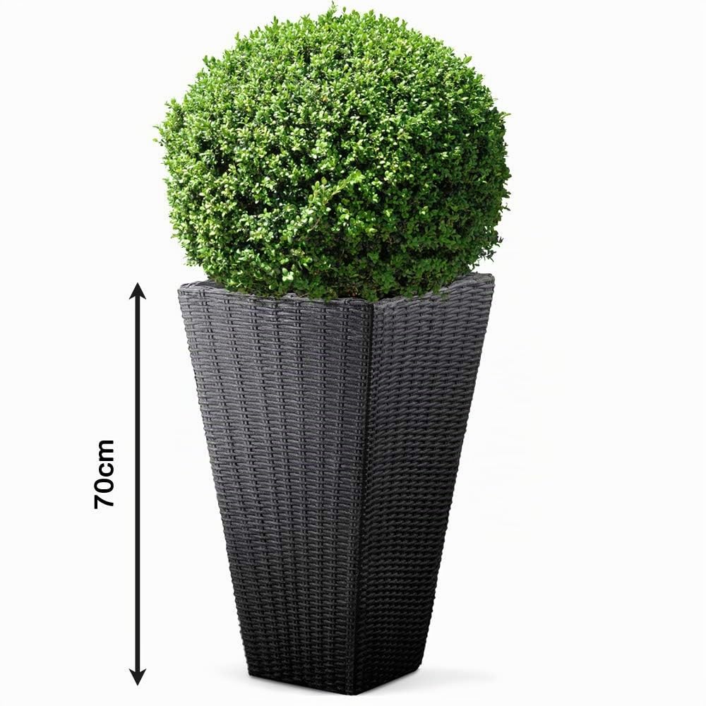 Deuba Pot de Fleurs Anthracite 70 x 40 x 40 cm 59 L Bac à Fleurs Aspect polyrotin Jardin terrasse intérieur extérieur jardinière Cache-Pot
