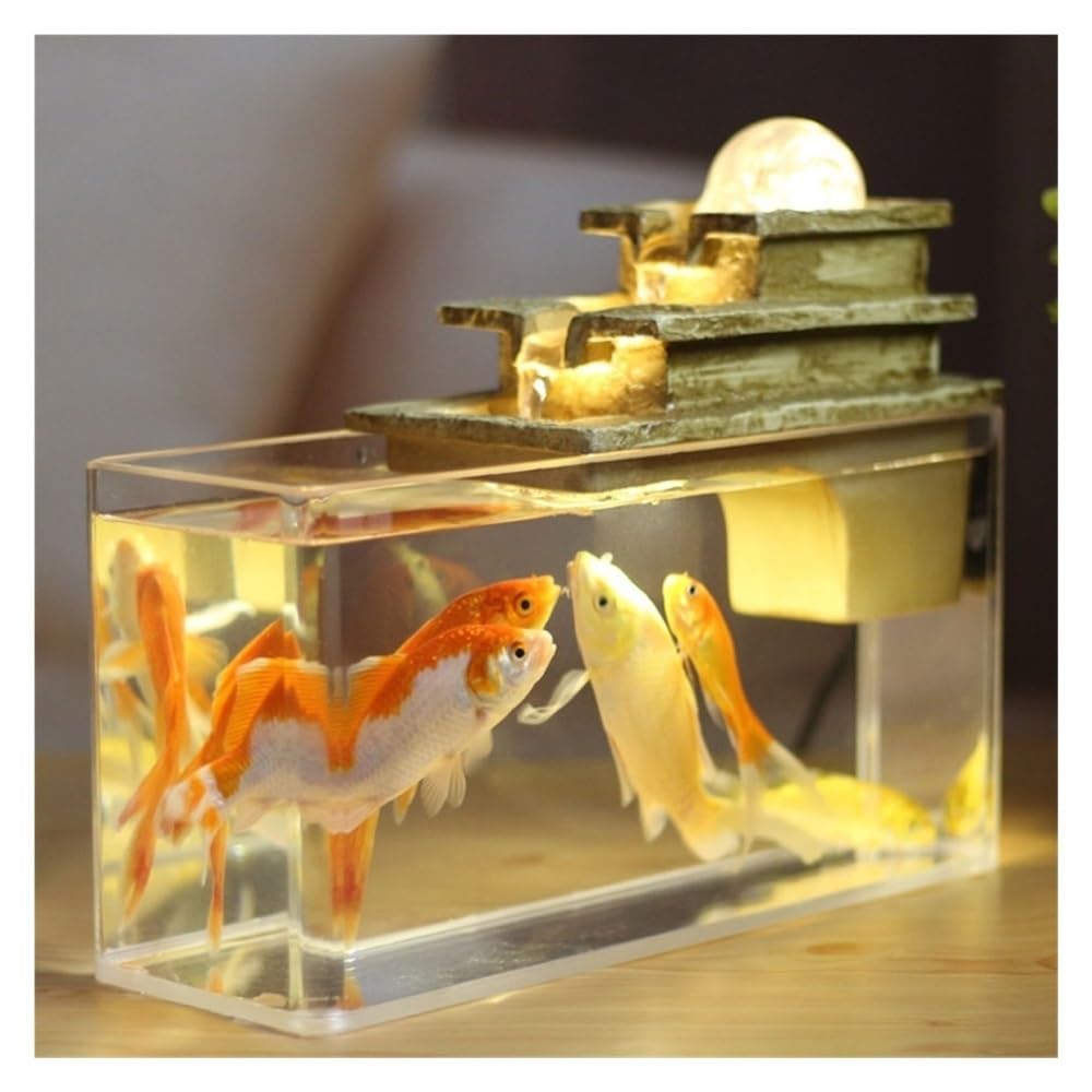 Aquarium Quadratisches, transparentes Acryl-Aquarium mit Fischzirkulation, kreativ, klein, for Aquarien, Öko-Landschaftsgestaltung, Dekoration
