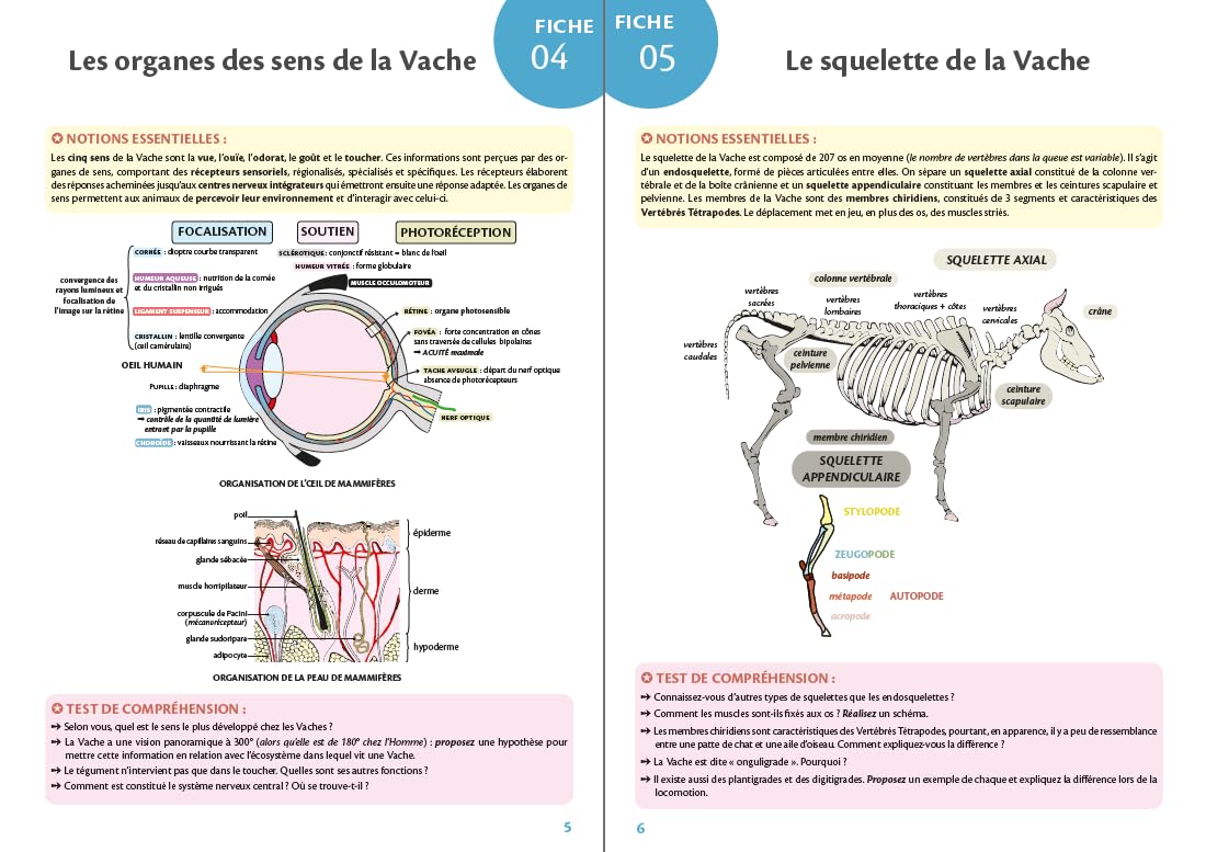 Biologie - Les 200 visuels indispensables: Licence, Capes, prépas