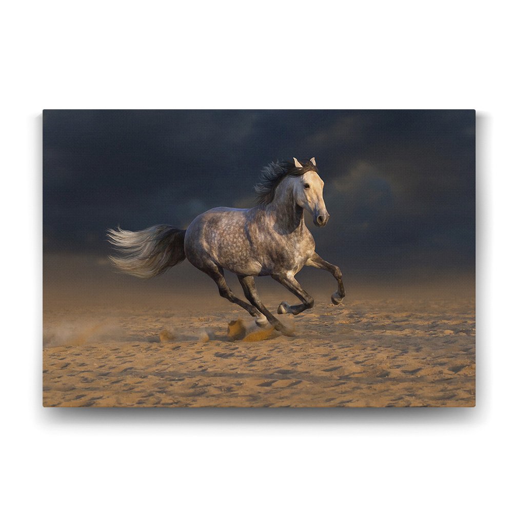 Kırçıllı At Tablosu - 45x30cm