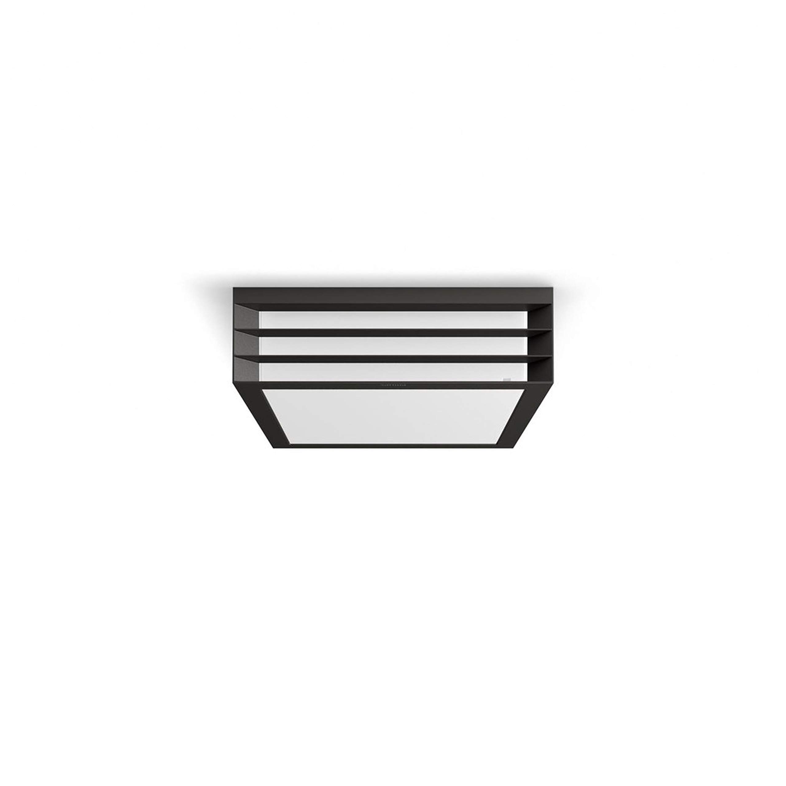 PHILIPS LAMPADA DA SOFFITTO MOONSHINE GRIGIO SCURO DA ESTERNO,