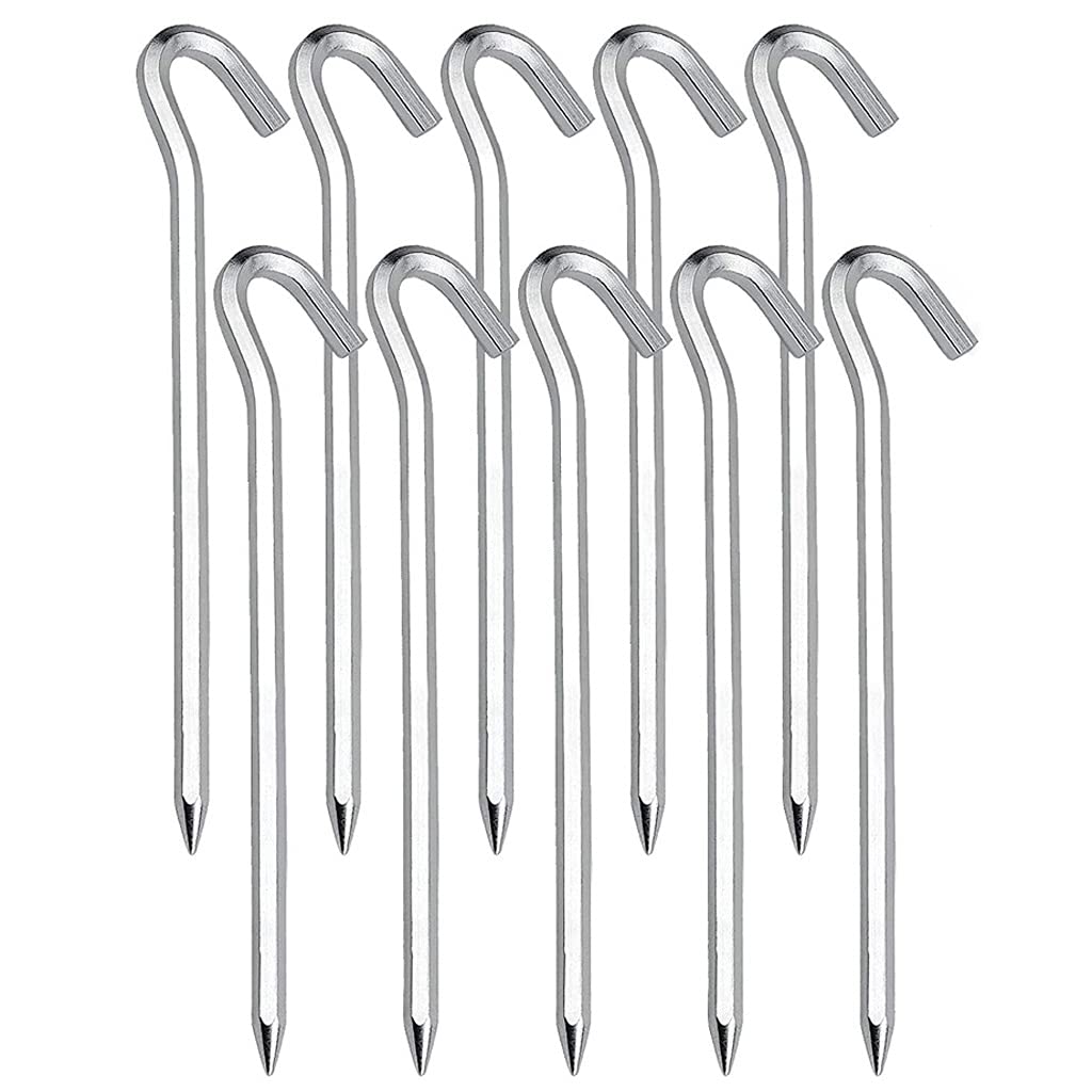 10 Pezzi picchetti per Tenda chiodo 180 mm Metallo Resistente in Lega di Alluminio Leggero picchetti per Tenda per Escursionismo Viaggio Spiaggia Giardino Campeggio