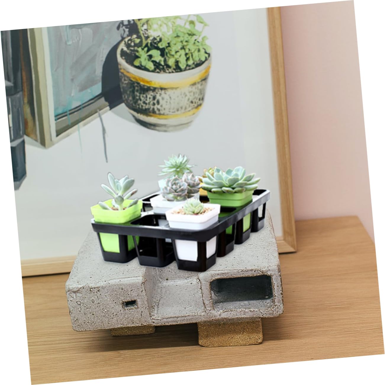 Vassoio di Germinazione Nero 24 Fori 7cm, Plastico, 2 Pezzi