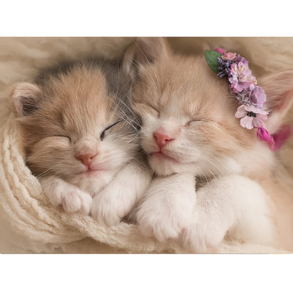 JISHSHAY ダイヤモンドアート 動物 四角いビーズ 50x40cm 猫 5d ダイヤモンドペインティング 全面貼り付けタイプ ダイヤモンドアート スクエア アート スクエアビーズ ハンドメイド 人気 芸術品 装飾 絵画 手芸 キット DIY 手作り