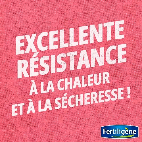 Semences gazon terrain sec Fertiligene solution pelouse brûlée plein soleil 35m² - 6