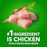 IAMS Proactive Health Minichunks Produits pour chiens secs – Crunchy Kibble pour chiens adultes – Poulet & Recette de grains entiers – 3.18KG (7LB) sac