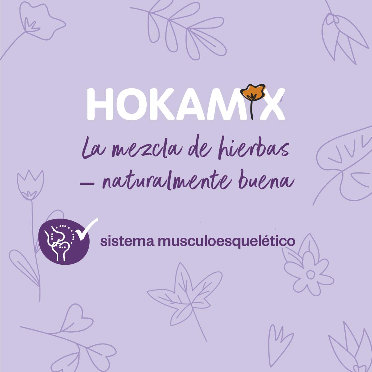 Grau - El Original - Hokamix Mobility Booster, 1 Paquete (1 x 390 Unidades)