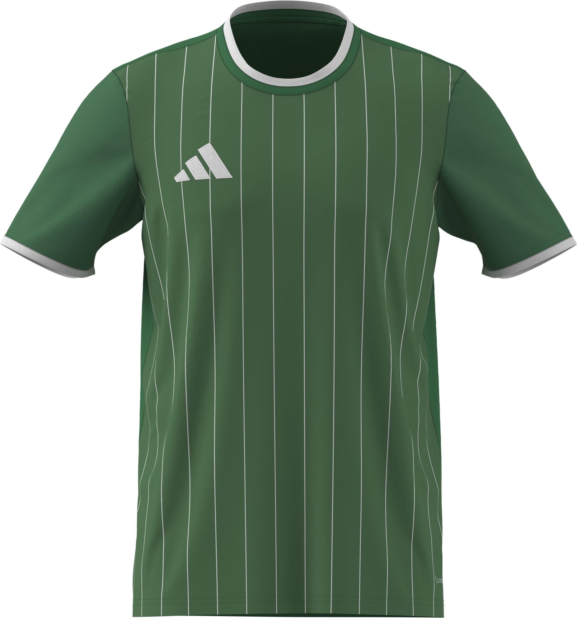 adidas Men's Entrada26 Graphic Jersey Shirt, Team Green/White, M