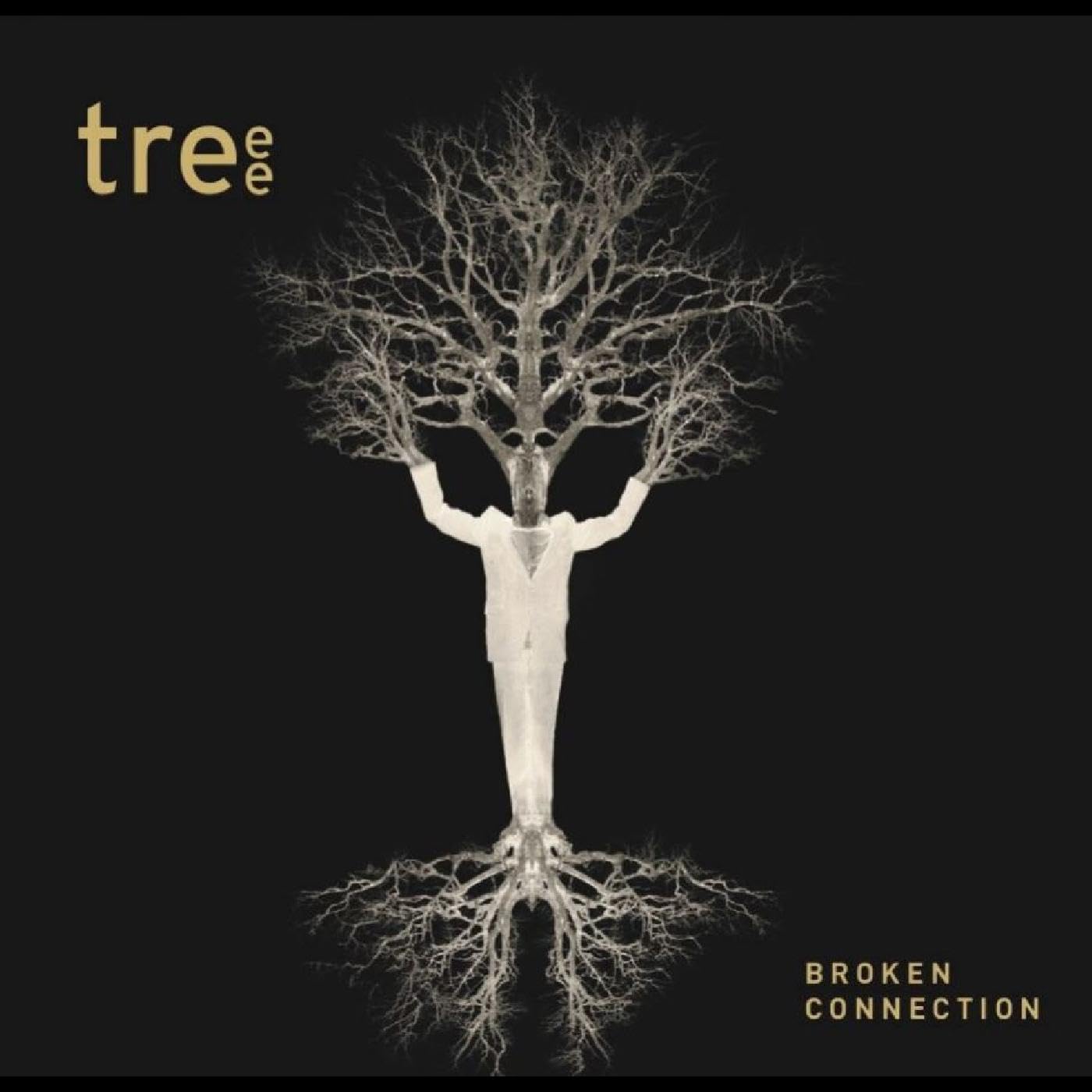 Broken Connection