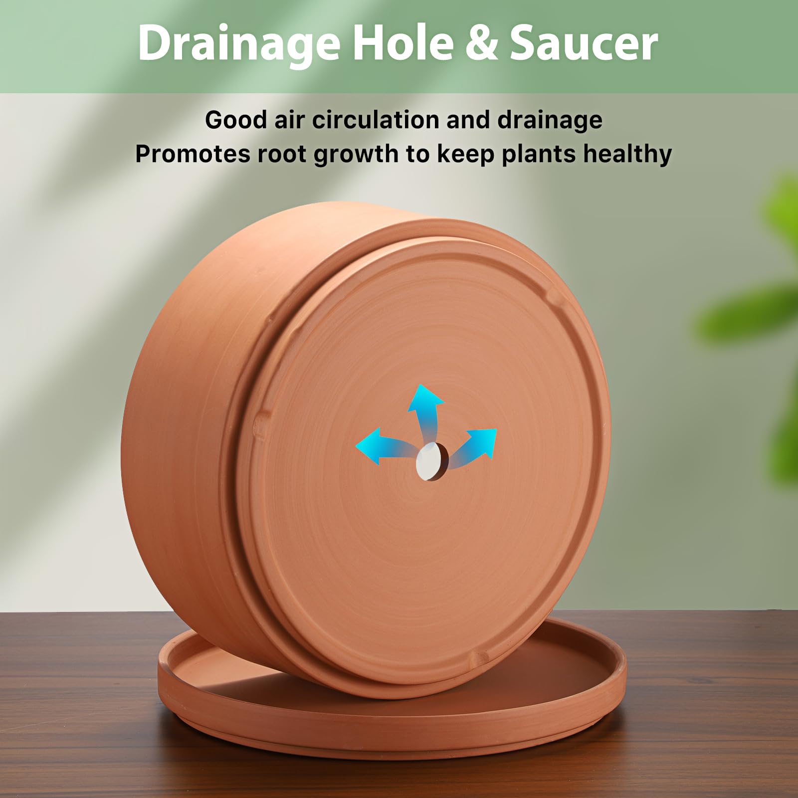 SUMTree Vasi per piante in terracotta, diametro 25,4 cm, vaso poco profondo per piante da interno ed esterno, vaso rotondo per piante grasse con foro di drenaggio, vaso in argilla per bonsai, fioriera