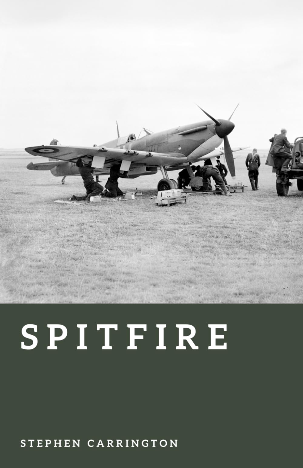 Spitfire: The Fighter That Saved Britain (The World War II Library: Weapons)