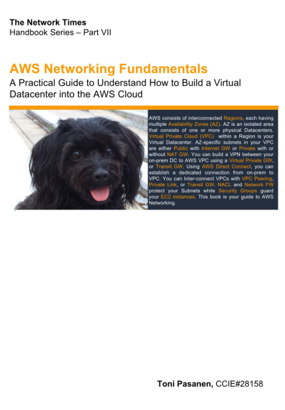 Buy AWS Networking Fundamentals A Practical Guide to Understand How to