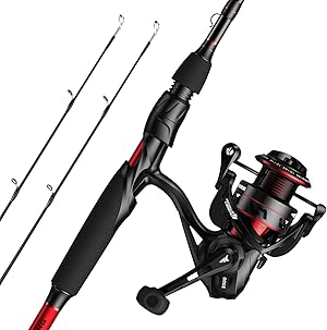 KastKing Royale Legend II Twin Tip Fishing Rod and Reel Combos, Spinning & Casting Combo, IM6 Graphite 2Pc Blanks, Extra Backup Tip Section, Stainless-Steel Guides, KastFlex Technology, EVA Handles
