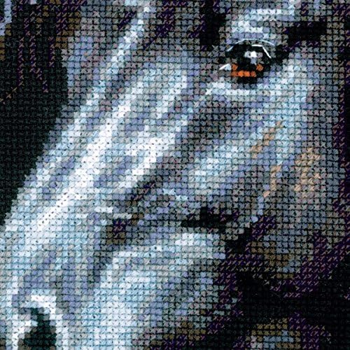 Image of RIOLIS - Breeze Through Mane 1494, Counted Cross Stitch Kit 11,81 inch x17,72, Black Horse Embroidery Kit, Cross Stitch Patterns for Adults with Horse, Cross Stitch Kits for Adults Advanced & Beginners