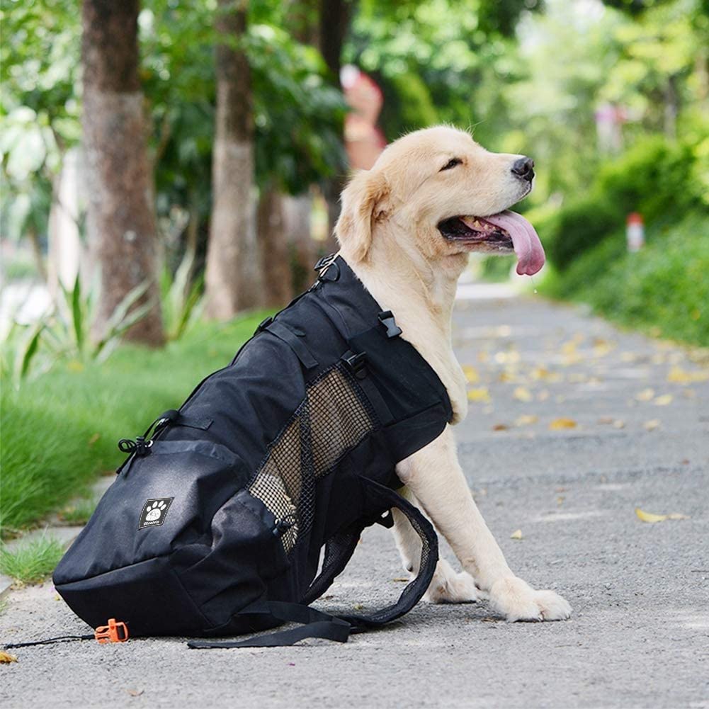 Zaino portante per Cani per Piccoli e Medi Animali Domestici | Pacco Regolabile Frontale Borsa sicura Completamente ventilata per Viaggi