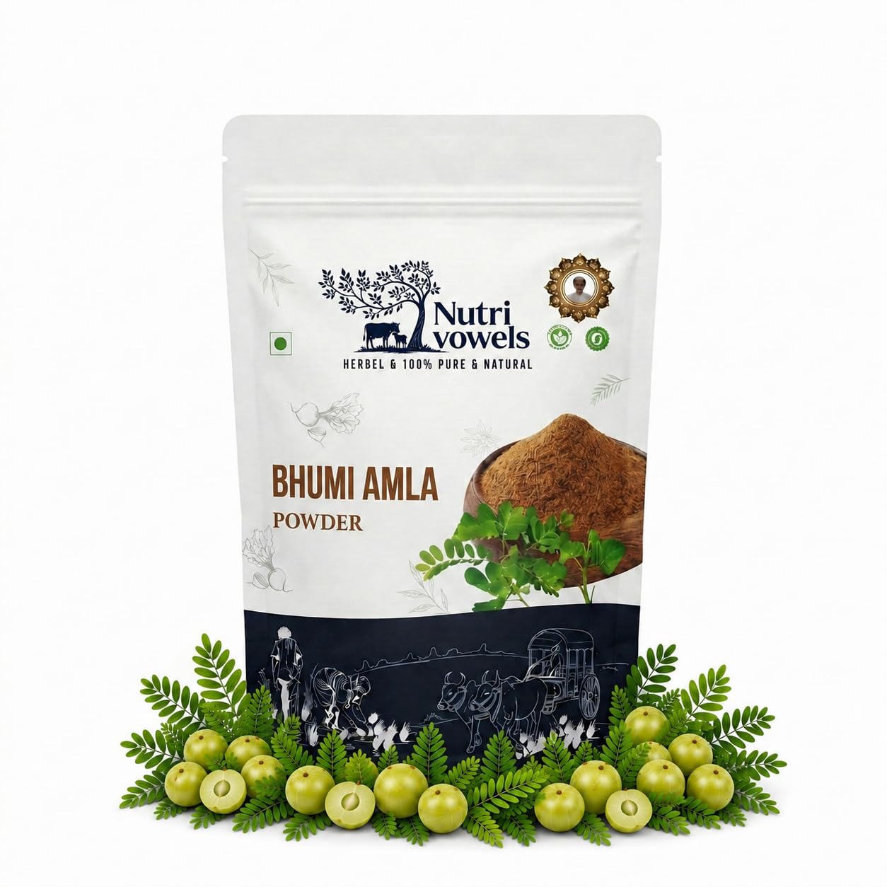[BRSRGC3RDMFBEFA4] Bhumi Amla Powder 250g | Bhu Amla Powder | Bhumyamalaki | Phyllanthus Niruri Herbal Powder | Ayurvedic Wellness Supplement | Pure