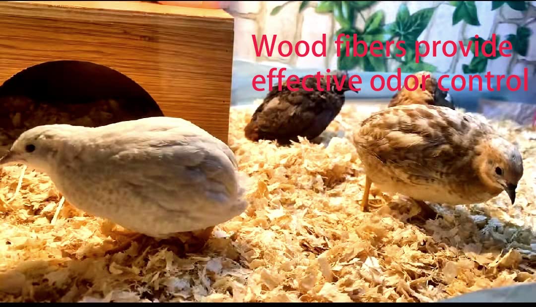 Aspen Bedding Snake Bedding Parrot Bedding,Chicken Bedding Bedding for Parrots,Chickens,Hedgehogs,Rabbits,Guinea Pigs Bedding，Reptile Bedding，Low-Dust Critter Bedding