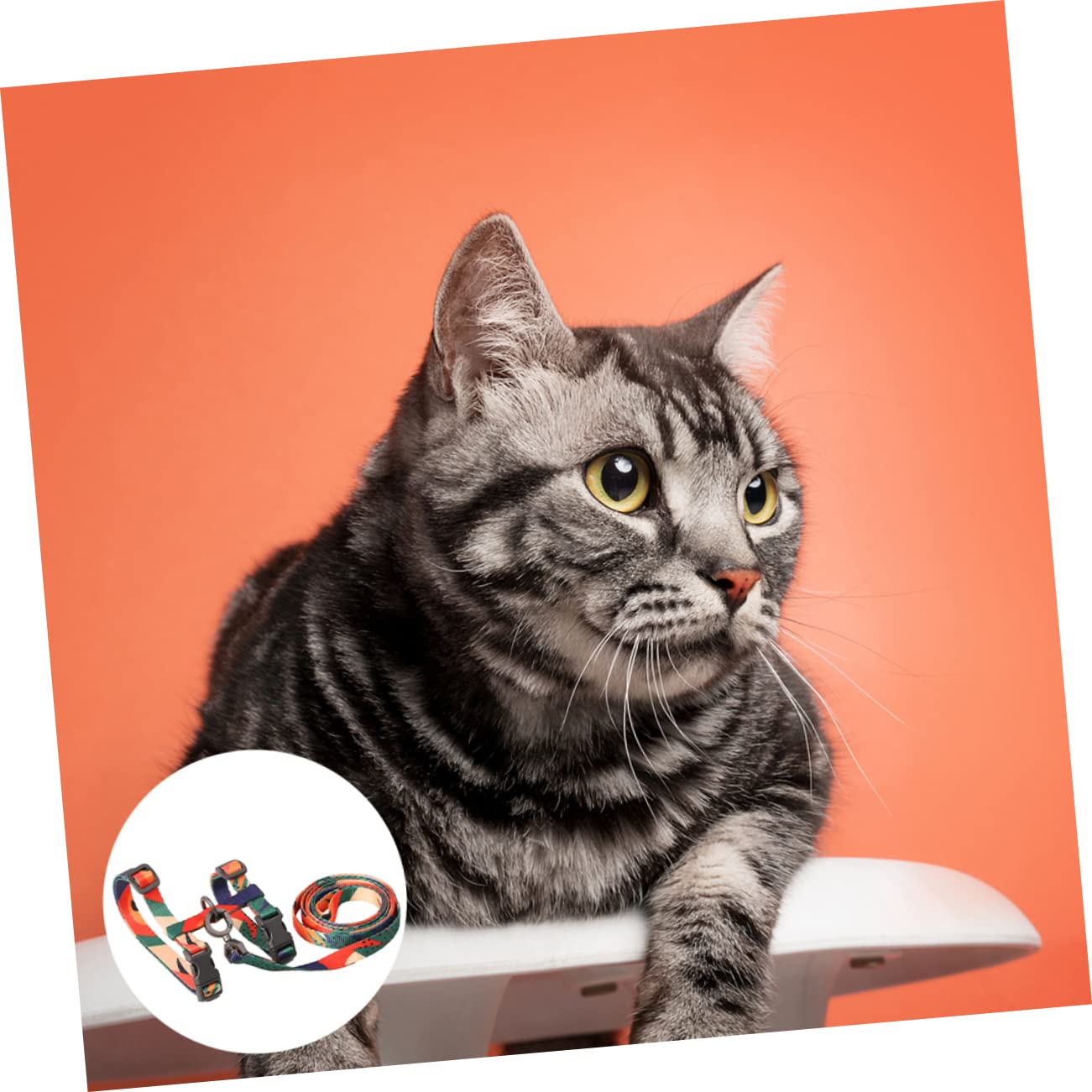 Didiseaon 2pezzi Pettorina Per Gatti Con Guinzaglio Materiale Resistente Per Passeggiate Sicure Design Elegante e Leggero Perfetta Per Gattini e Gatti Adulti